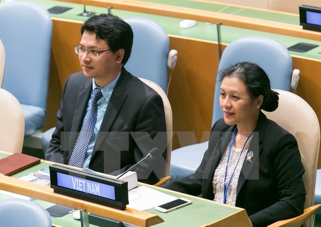 Vietnam calls for prevention of conflicts over water resources  - ảnh 1
